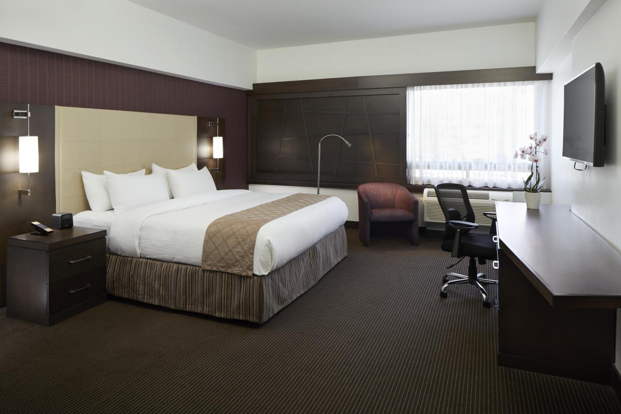 Standard King Room,1351247569:JPEG